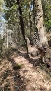 unnamed - 2025-09-22T130651.623